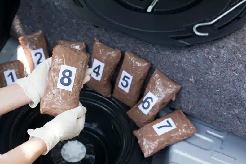 تهريب المخدرات في الإمارات